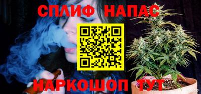 мяу мяу мука Нарткала