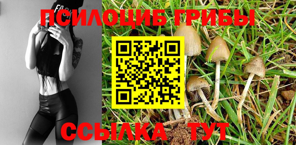 Галлюциногенные грибы ЛСД Сосновый Бор